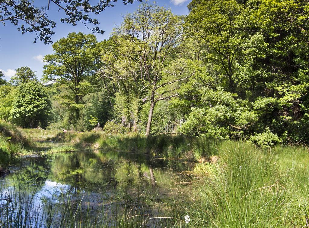 Ballyteige Bridge Ballyteige Lodge מראה חיצוני תמונה