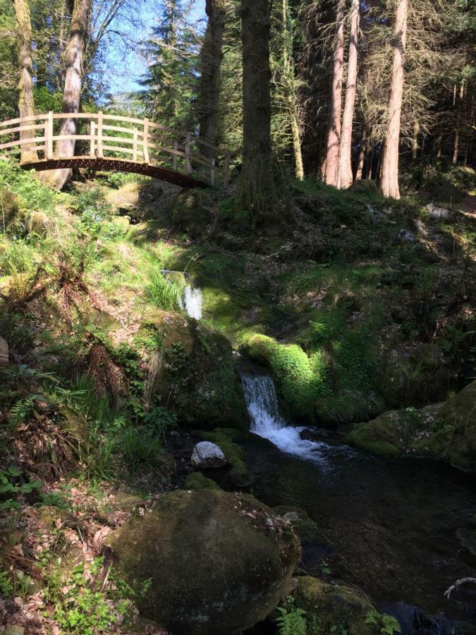 Ballyteige Bridge Ballyteige Lodge מראה חיצוני תמונה