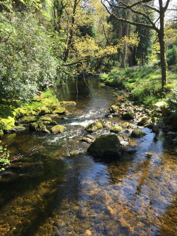 Ballyteige Bridge Ballyteige Lodge מראה חיצוני תמונה